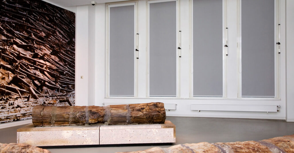 Ein Museumsexponat zeigt einen großen, horizontalen, versteinerten Baumstamm auf einer Steinplattform. Im Hintergrund sind große Fenster mit geschlossenen Jalousien und eine Wand mit einem Waldgemälde zu sehen. Der Raum ist minimalistisch gestaltet.